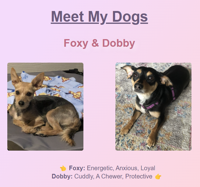 Foxy & Dobby Landing Page